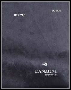 67F-7001