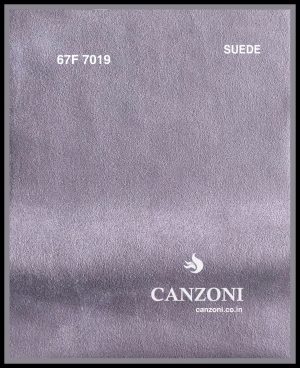 67F-7019