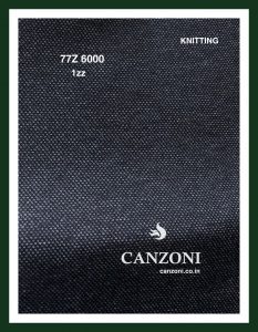 77Z-6000-1zz